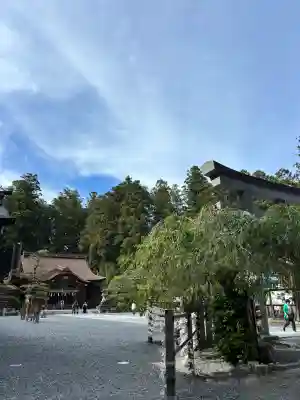 小國神社の{uncategorized: "未分類", other: "その他", undefined: "問題あり", building: "その他建物", grave: "お墓", sacred_gate: "鳥居", guardian: "狛犬", statue: "像", buddha: "仏像", history: "歴史", nature: "自然", garden: "庭園", animal: "動物", pagoda: "塔", temizu: "手水舎", mountain_gate: "山門・神門", sanctuary: "本殿・本堂", subordinate: "末社・摂社", art: "芸術", scenery: "景色", jizo: "地蔵", ema: "絵馬", goshuin: "御朱印", omikuji: "おみくじ", items: "授与品その他", amulet: "お守り", goshuincho: "御朱印帳", eats: "食事", festival: "お祭り", votive_dance: "神楽", shichigosan: "七五三参", wedding: "結婚式", experience: "体験その他", initially: "初詣", around: "周辺", anti_infection: "感染症対策"}