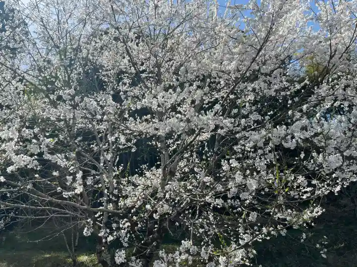 吉祥寺(岐阜県)