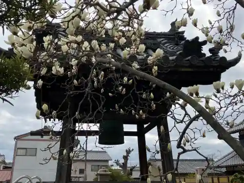 金躰寺(奈良県)