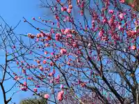 北野天満宮(京都府)