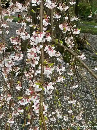 阿弥陀寺のその他建物