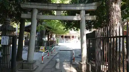 荻窪白山神社の鳥居