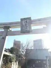 住吉神社の鳥居