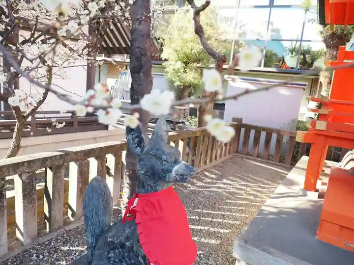 神田神社(神田明神)の自然