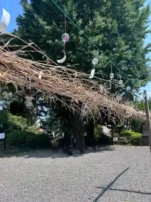 武州白子熊野神社(埼玉県)