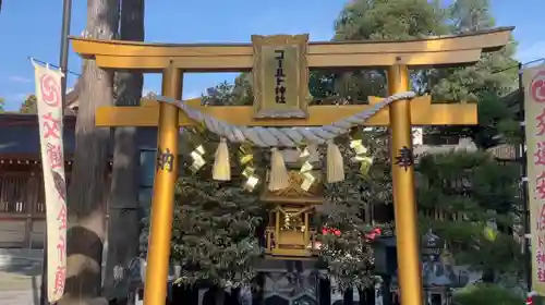 亀ケ池八幡宮の鳥居