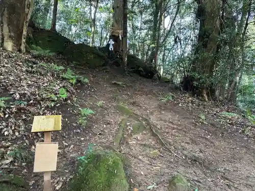 佐為神社の{uncategorized: "未分類", other: "その他", undefined: "問題あり", building: "その他建物", grave: "お墓", sacred_gate: "鳥居", guardian: "狛犬", statue: "像", buddha: "仏像", history: "歴史", nature: "自然", garden: "庭園", animal: "動物", pagoda: "塔", temizu: "手水舎", mountain_gate: "山門・神門", sanctuary: "本殿・本堂", subordinate: "末社・摂社", art: "芸術", scenery: "景色", jizo: "地蔵", ema: "絵馬", goshuin: "御朱印", omikuji: "おみくじ", items: "授与品その他", amulet: "お守り", goshuincho: "御朱印帳", eats: "食事", festival: "お祭り", votive_dance: "神楽", shichigosan: "七五三参", wedding: "結婚式", experience: "体験その他", initially: "初詣", around: "周辺", anti_infection: "感染症対策"}