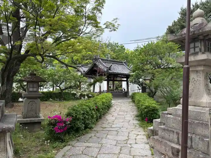 道明寺天満宮の{uncategorized: "未分類", other: "その他", undefined: "問題あり", building: "その他建物", grave: "お墓", sacred_gate: "鳥居", guardian: "狛犬", statue: "像", buddha: "仏像", history: "歴史", nature: "自然", garden: "庭園", animal: "動物", pagoda: "塔", temizu: "手水舎", mountain_gate: "山門・神門", sanctuary: "本殿・本堂", subordinate: "末社・摂社", art: "芸術", scenery: "景色", jizo: "地蔵", ema: "絵馬", goshuin: "御朱印", omikuji: "おみくじ", items: "授与品その他", amulet: "お守り", goshuincho: "御朱印帳", eats: "食事", festival: "お祭り", votive_dance: "神楽", shichigosan: "七五三参", wedding: "結婚式", experience: "体験その他", initially: "初詣", around: "周辺", anti_infection: "感染症対策"}