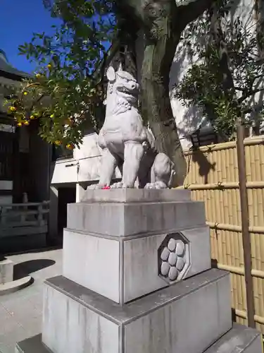 鳥越神社の狛犬