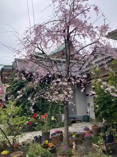 今戸神社(東京都)
