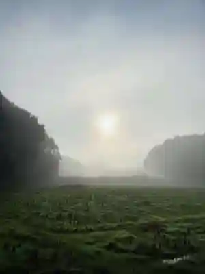 浄土寺(兵庫県)