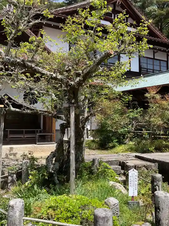 雲興寺(愛知県)