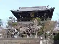 くろ谷 金戒光明寺(京都府)