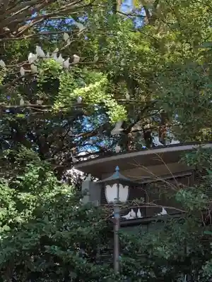 靖國神社(東京都)