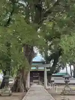 溝口竃門神社(福岡県)