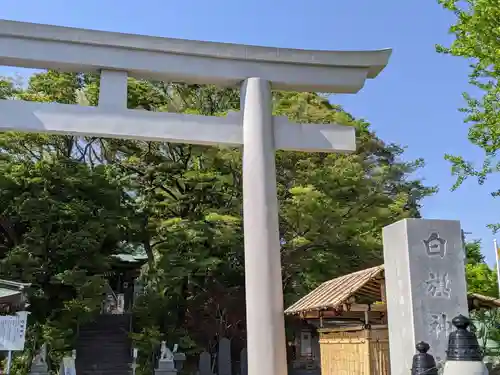 白旗神社の鳥居