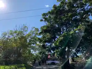 釧路一之宮 厳島神社の自然(2019年09月25日(水) 22時28分29秒投稿)