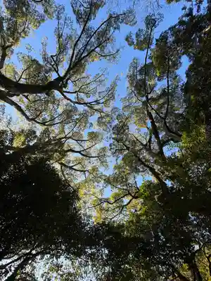 月讀宮（皇大神宮別宮）(三重県)
