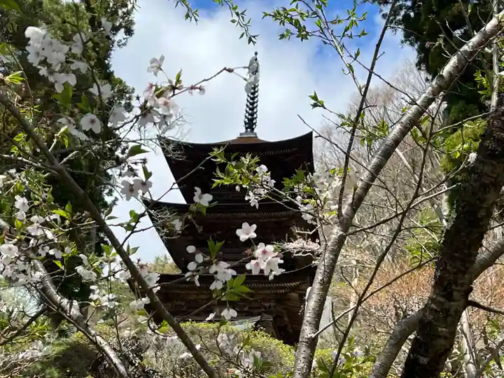 国宝 大法寺の塔