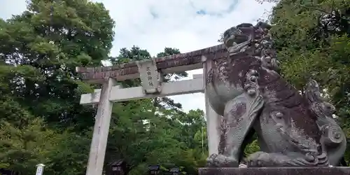 武田神社の狛犬