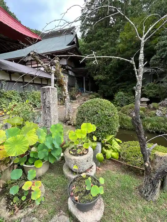 松尾寺(京都府)