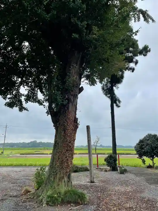 川西薬師堂(栃木県)