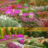 寿量山 速成寺の自然