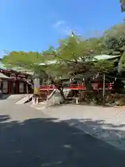 静岡浅間神社(静岡県)