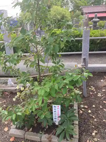 本社宮(神奈川県)