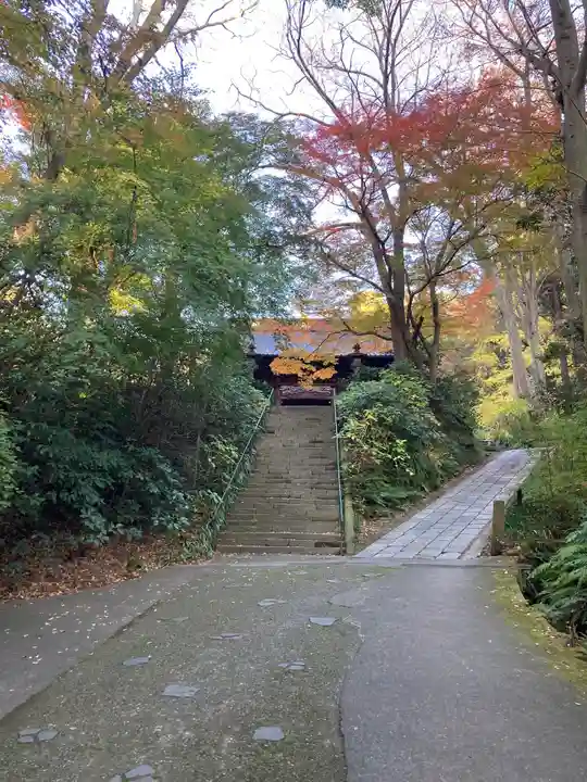 妙本寺(神奈川県)