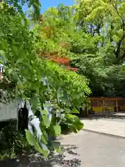 枚聞神社(鹿児島県)