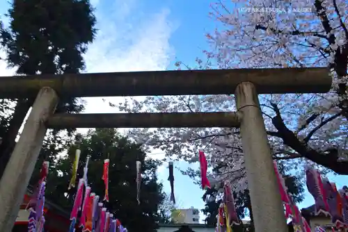 くまくま神社(導きの社 熊野町熊野神社)(東京都)