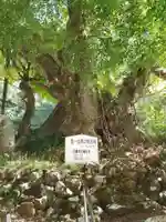 石寄社(京都府)