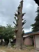 清水八幡神社(千葉県)