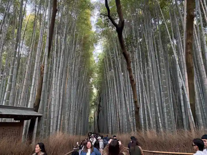 野宮神社(京都府)