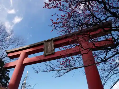 亀戸天神社の鳥居