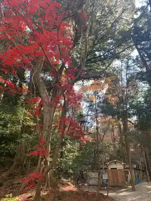 星田妙見宮(大阪府)