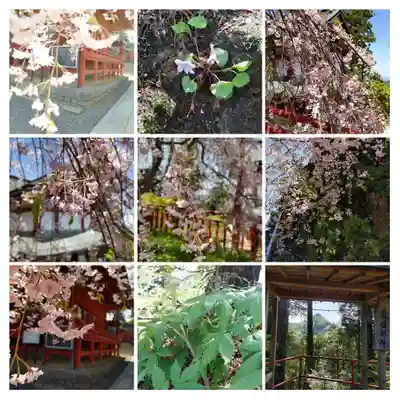 武蔵御嶽神社の本殿・本堂