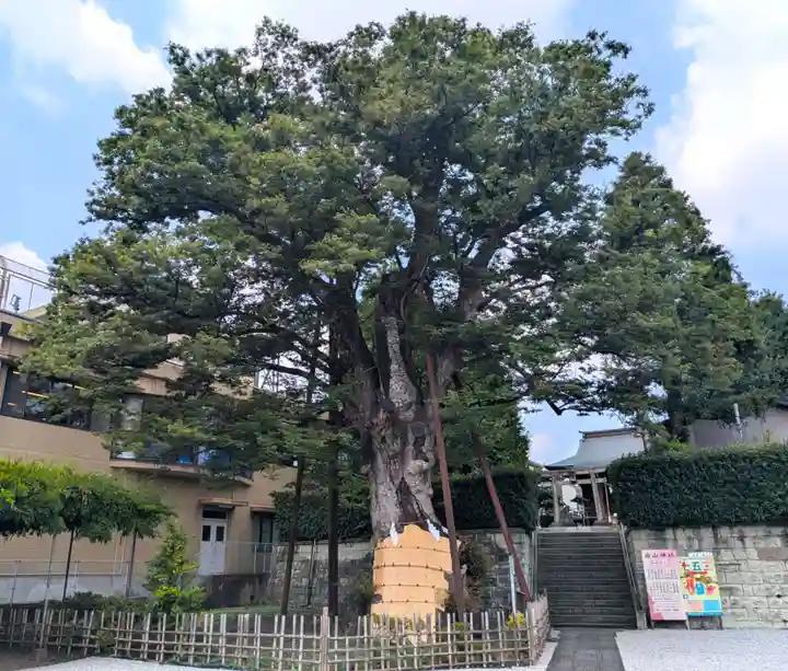 白山神社(東京都)