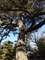 実相寺(愛知県)