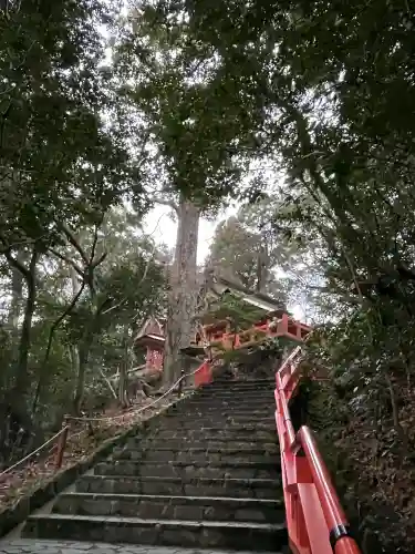 宇佐神宮の{uncategorized: "未分類", other: "その他", undefined: "問題あり", building: "その他建物", grave: "お墓", sacred_gate: "鳥居", guardian: "狛犬", statue: "像", buddha: "仏像", history: "歴史", nature: "自然", garden: "庭園", animal: "動物", pagoda: "塔", temizu: "手水舎", mountain_gate: "山門・神門", sanctuary: "本殿・本堂", subordinate: "末社・摂社", art: "芸術", scenery: "景色", jizo: "地蔵", ema: "絵馬", goshuin: "御朱印", omikuji: "おみくじ", items: "授与品その他", amulet: "お守り", goshuincho: "御朱印帳", eats: "食事", festival: "お祭り", votive_dance: "神楽", shichigosan: "七五三参", wedding: "結婚式", experience: "体験その他", initially: "初詣", around: "周辺", anti_infection: "感染症対策"}