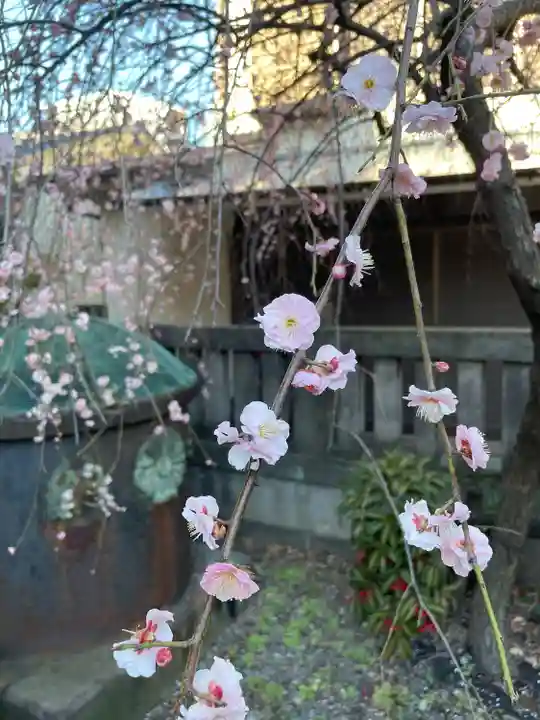 筑土八幡神社(東京都)