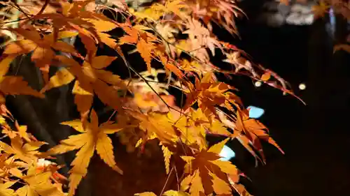 円通院(宮城県)