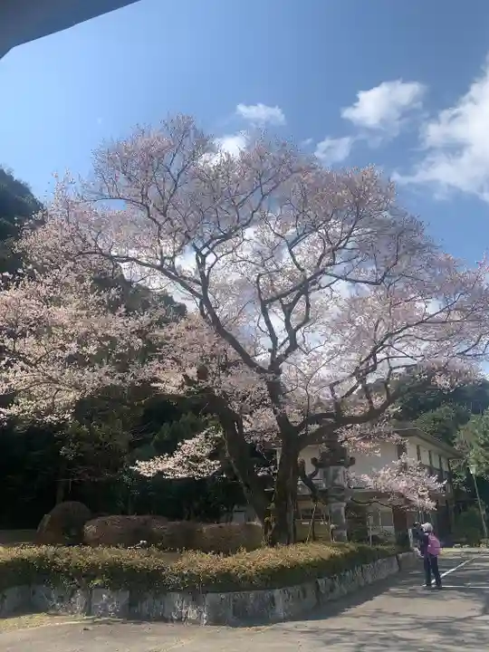 岐阜護國神社(岐阜県)