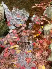 金剛輪寺(滋賀県)