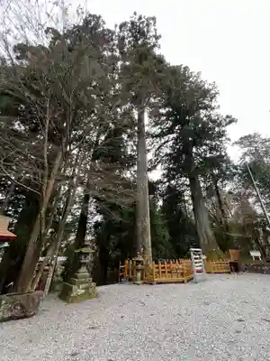 須山浅間神社のその他建物