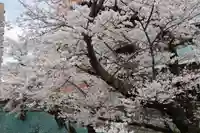 愛宕神社の周辺