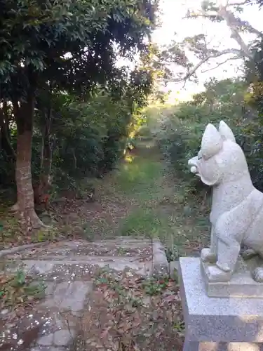 稲荷神社の狛犬