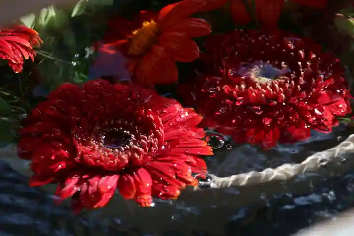豊景神社の手水舎