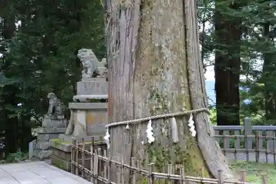 戸隠神社中社のその他建物